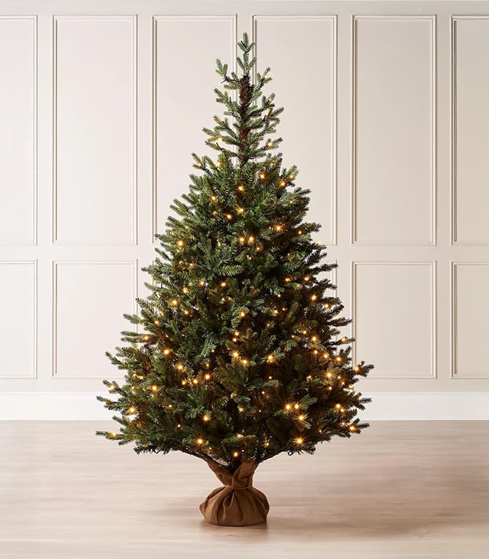 Norway Christmas Tree